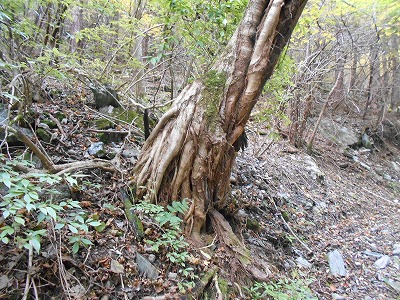 f0308898_199307.jpg