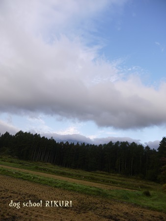 a0284100_12062415.jpg