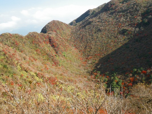 f0187402_1311506.jpg