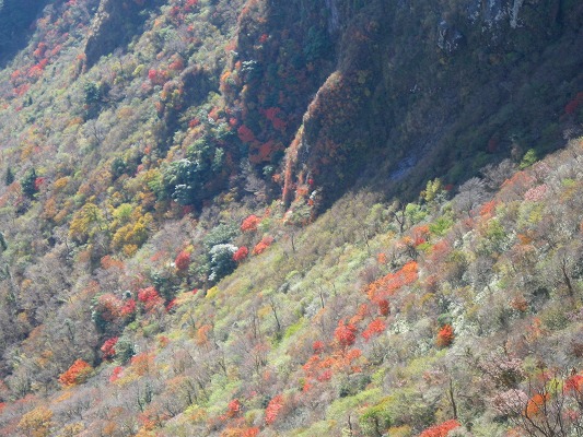f0187402_13121234.jpg