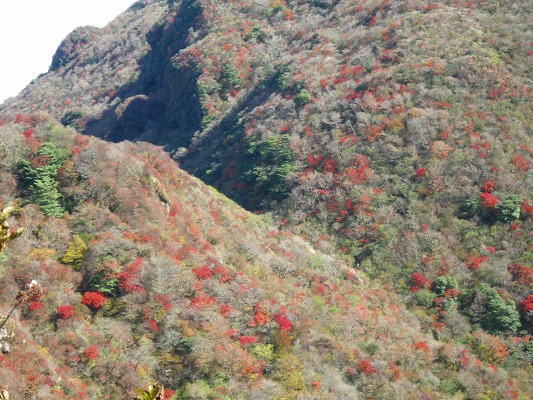 f0187402_1316292.jpg