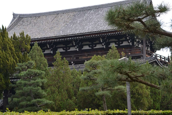 東福寺の紅葉_a0240403_133056.jpg