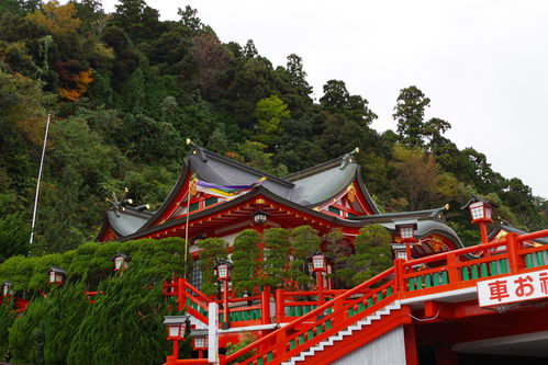 島根県　津和野町 太皷谷稲成神社、新嘗祭_c0192503_19543064.jpg