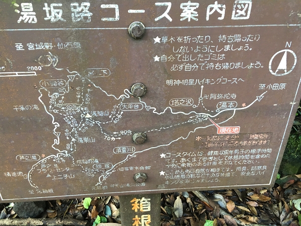 a0071805_1753430.jpg