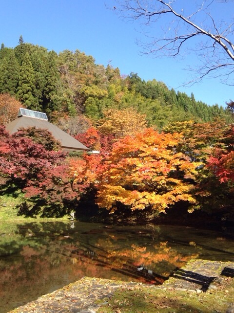 b0289206_20134131.jpg