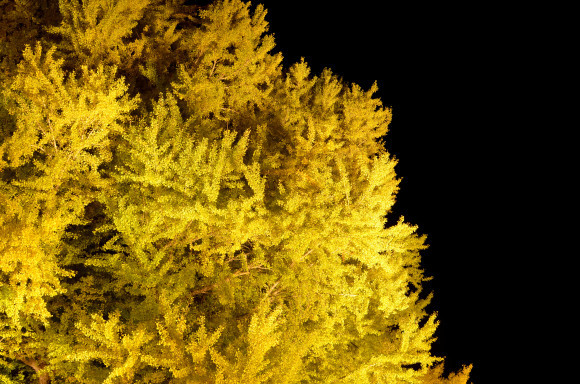 c0336907_22102152.jpg
