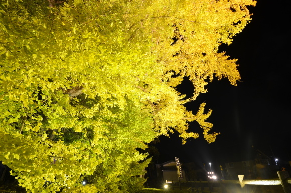 c0336907_22143455.jpg