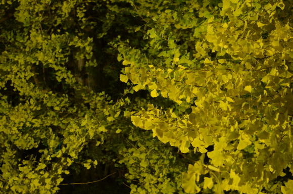 c0336907_22151015.jpg
