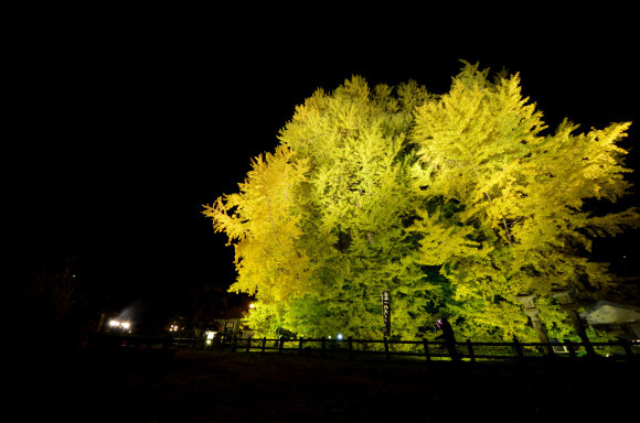 c0336907_22154868.jpg