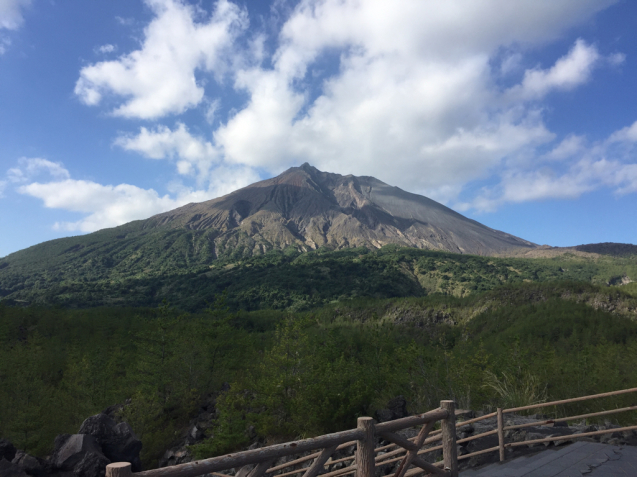 鹿児島は暖かかったです！_b0176010_13015940.jpg