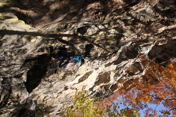 d0227310_2127495.jpg