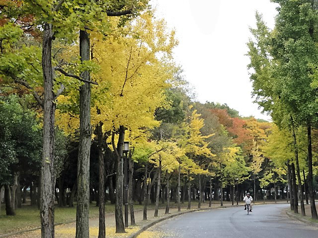 d0330311_1747876.jpg