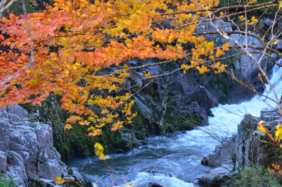 b0301412_22261411.jpg