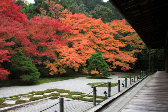 紅葉探訪6 南禅寺周遊_e0048413_19544467.jpg