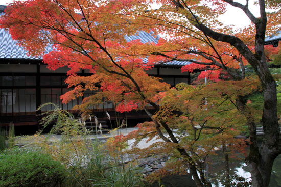 紅葉探訪6 南禅寺周遊_e0048413_19551772.jpg