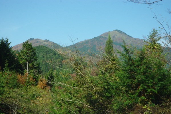 d0341514_20464027.jpg