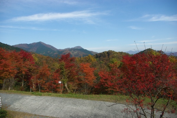 d0341514_20501769.jpg