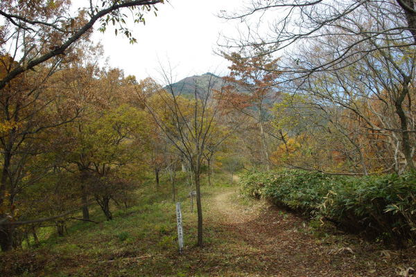 d0341514_20531936.jpg