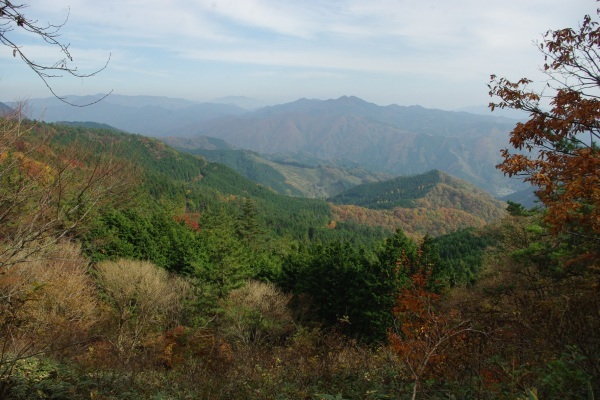 d0341514_20593840.jpg