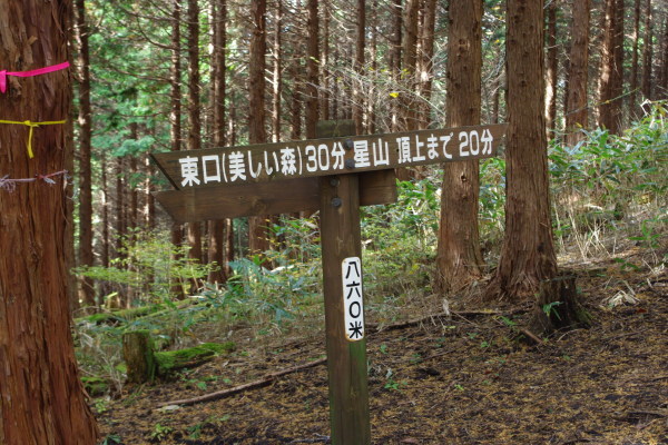 d0341514_21030511.jpg