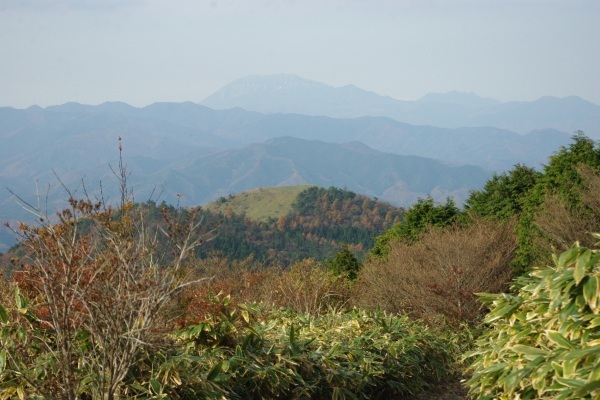 d0341514_21132914.jpg