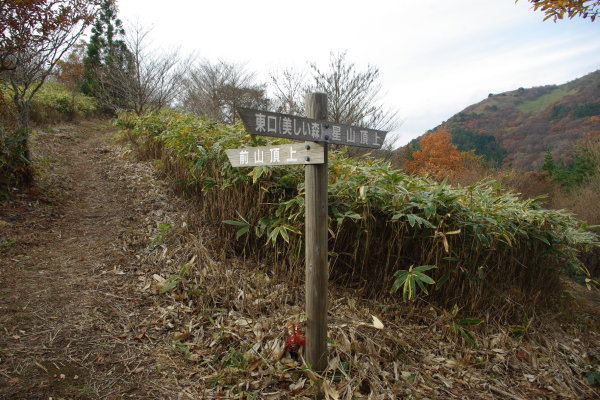 d0341514_21192587.jpg
