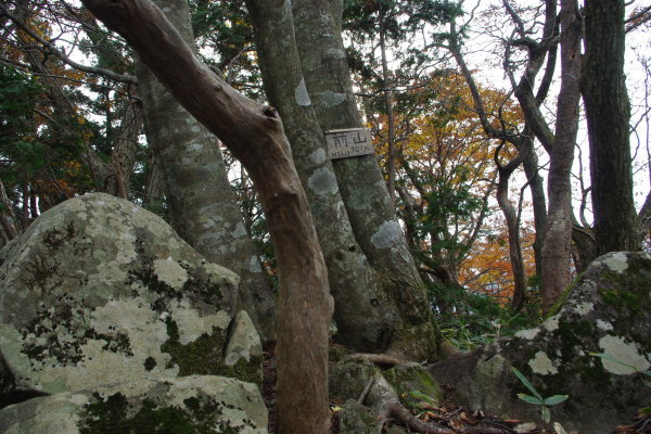 d0341514_21223117.jpg