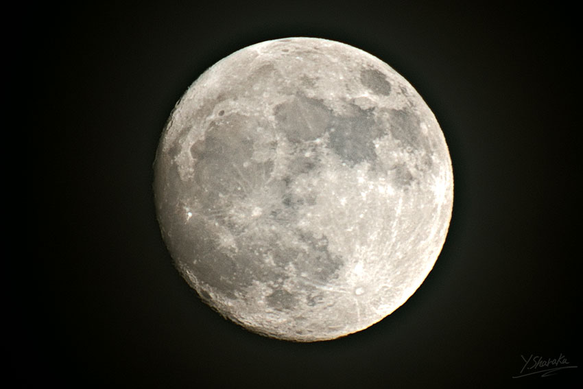 f0344614_21304551.jpg