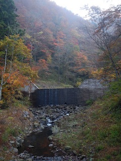 c0359615_21551017.jpg