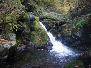 c0359615_21561394.jpg