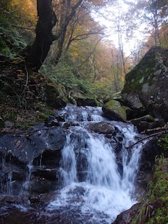 c0359615_21565250.jpg