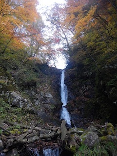 c0359615_21573514.jpg