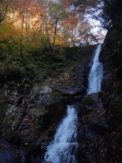 c0359615_21575610.jpg