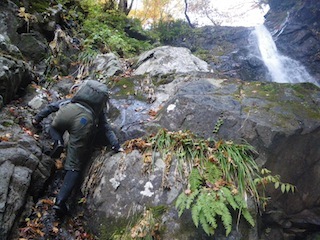 c0359615_21581494.jpg