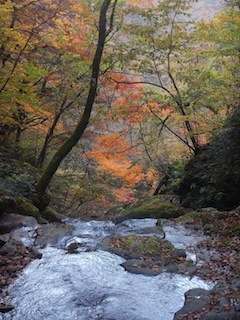 c0359615_21583604.jpg