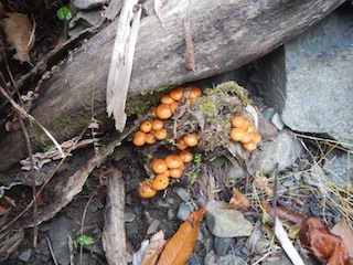 c0359615_21593342.jpg