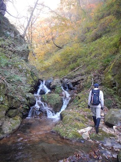 c0359615_22020280.jpg