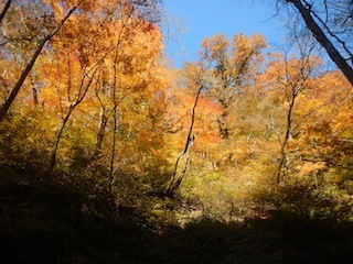 c0359615_22030265.jpg