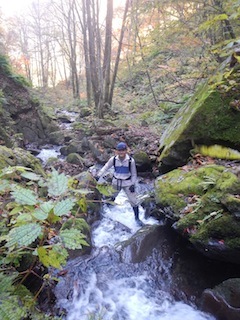 c0359615_22031549.jpg