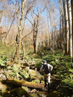 c0359615_22034595.jpg