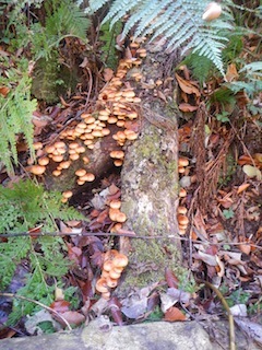 c0359615_22043178.jpg