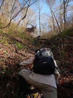 c0359615_22050934.jpg