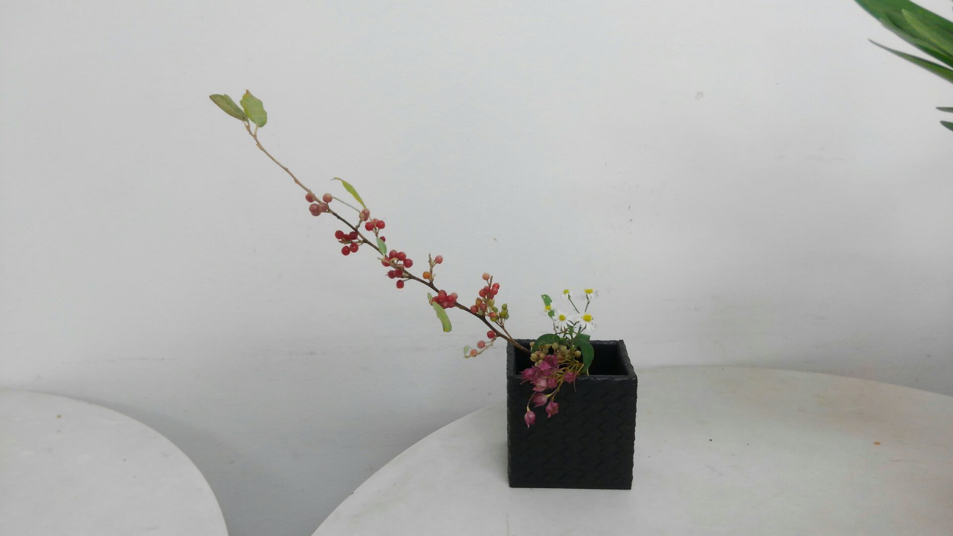 草紅葉をいけよう 気まぐれ雑草日記