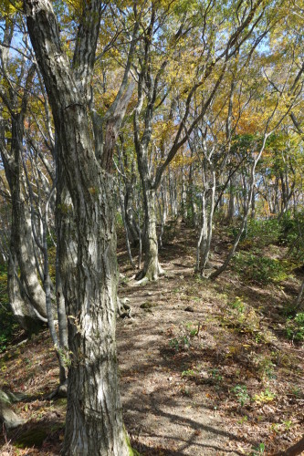 c0223019_23113893.jpg