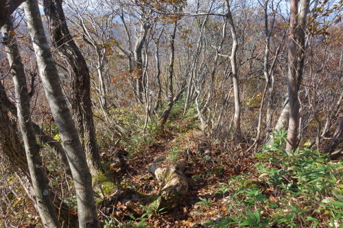 c0223019_23195291.jpg