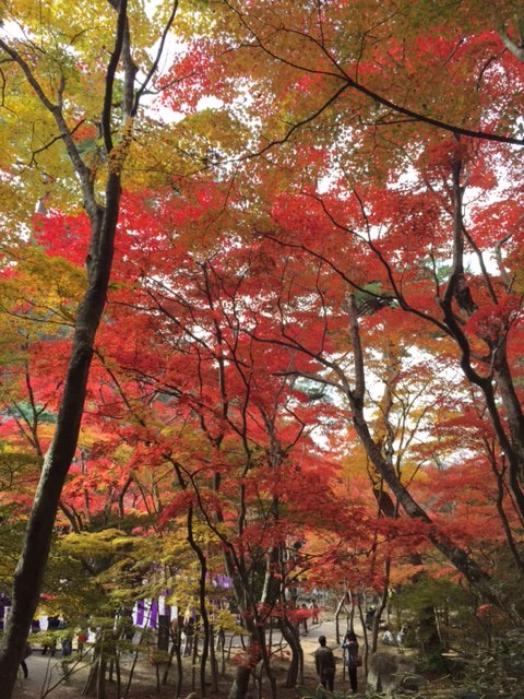 有馬温泉_a0112220_1617722.jpg