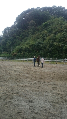 11月は_b0187620_20325662.jpg
