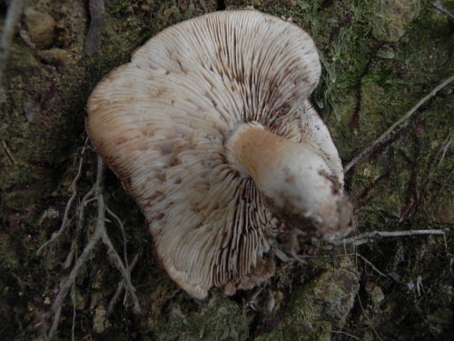 e0352220_11374712.jpg