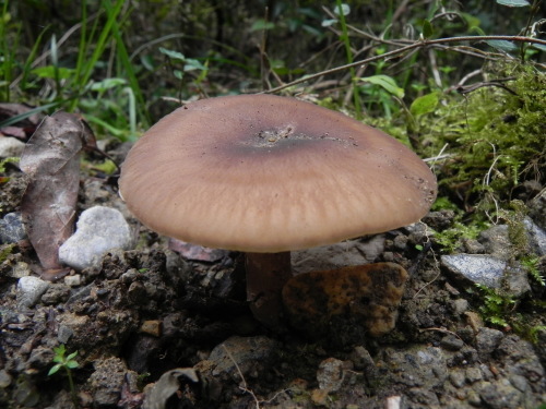 e0352220_13064783.jpg