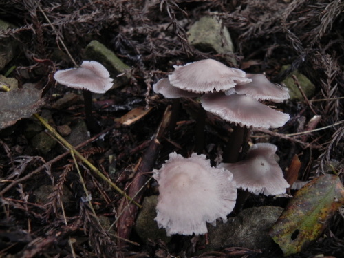 e0352220_13122431.jpg